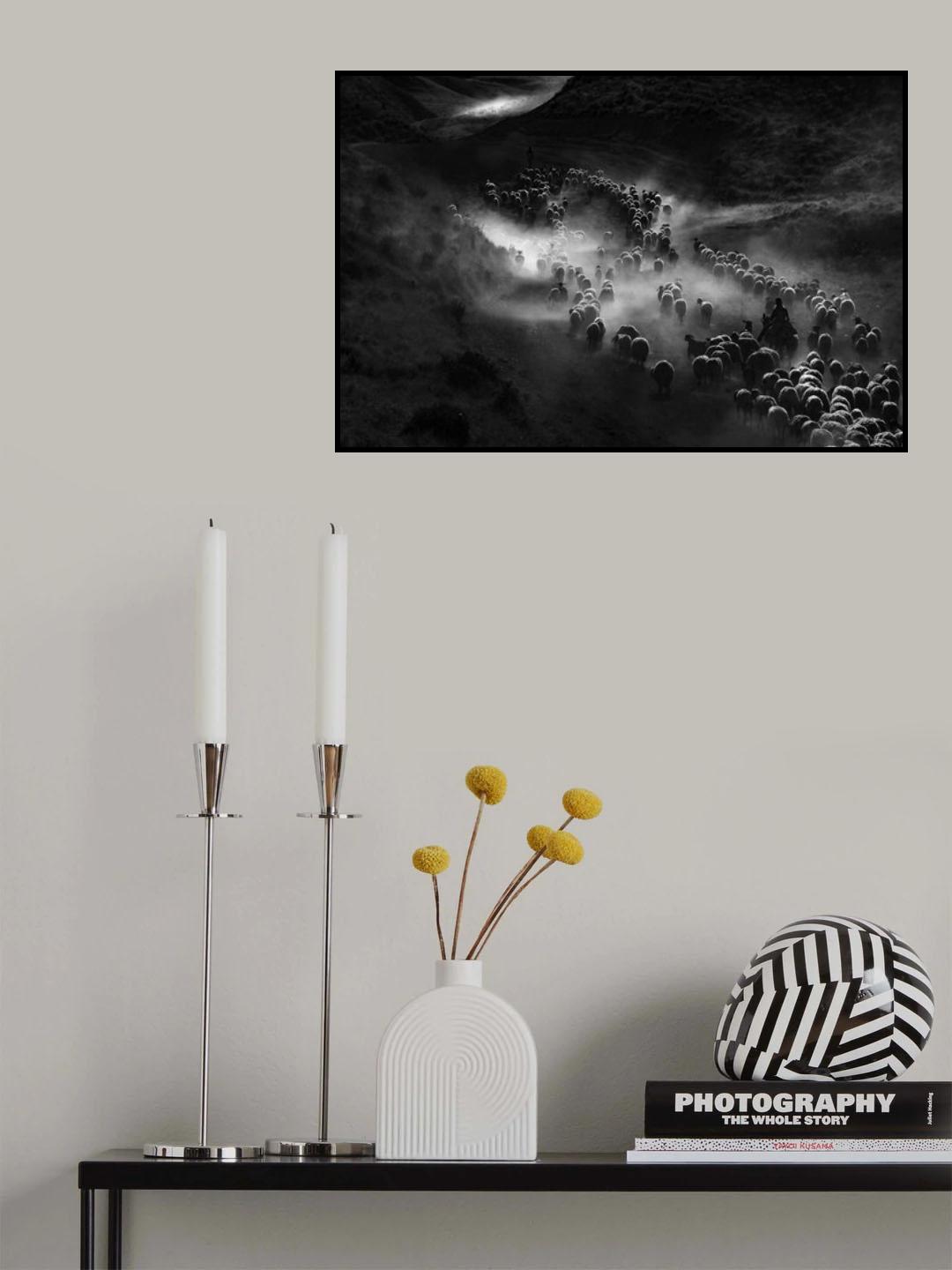 Sürü Poster och Canvastavla