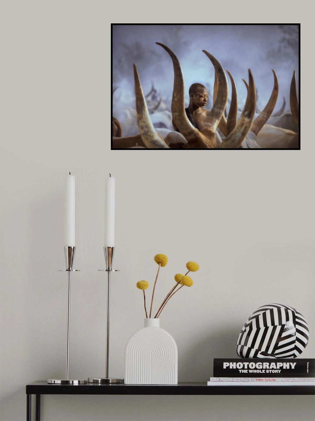 Mundari's cow Poster och Canvastavla