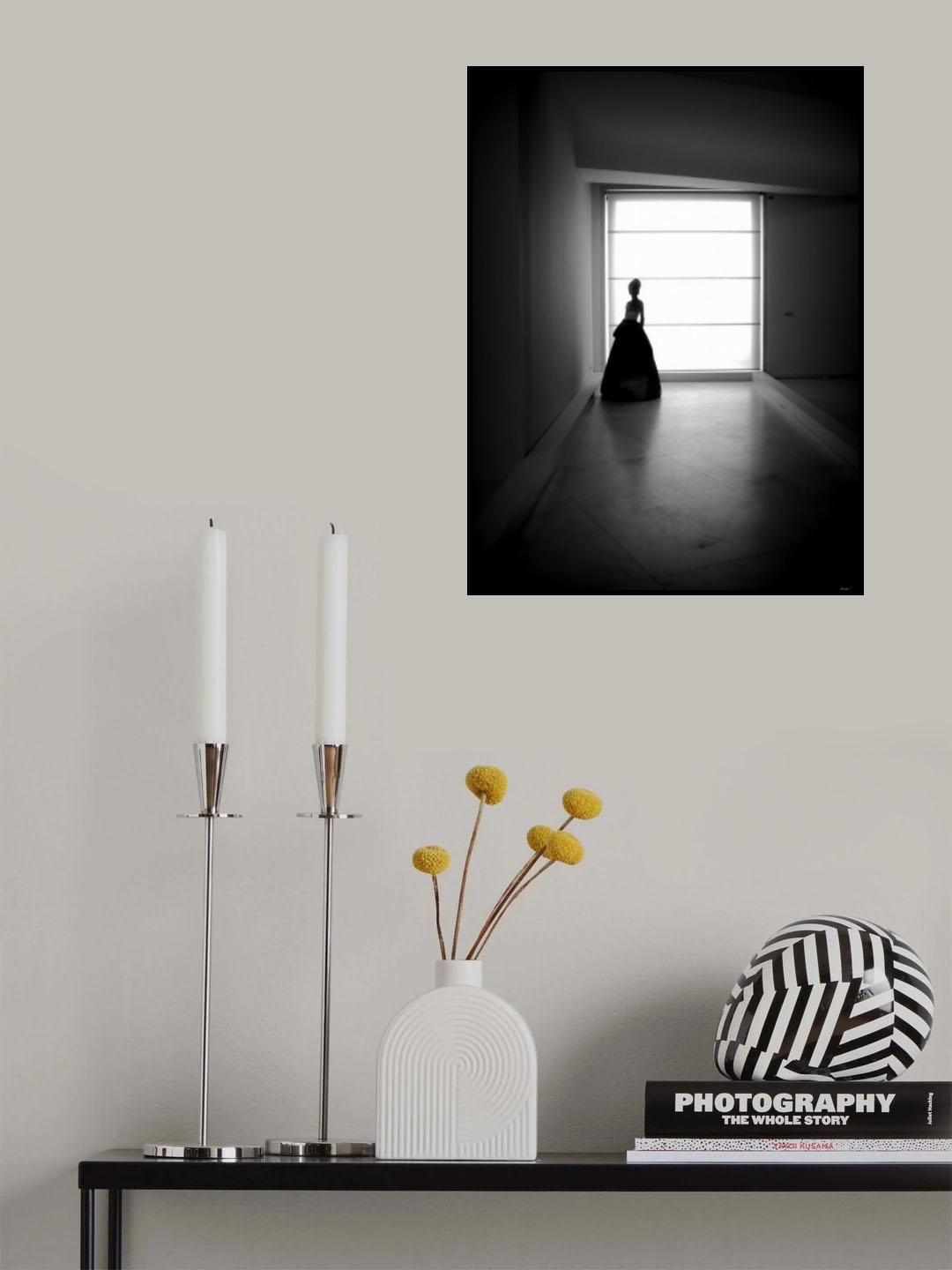 The Lady in Black Poster och Canvastavla