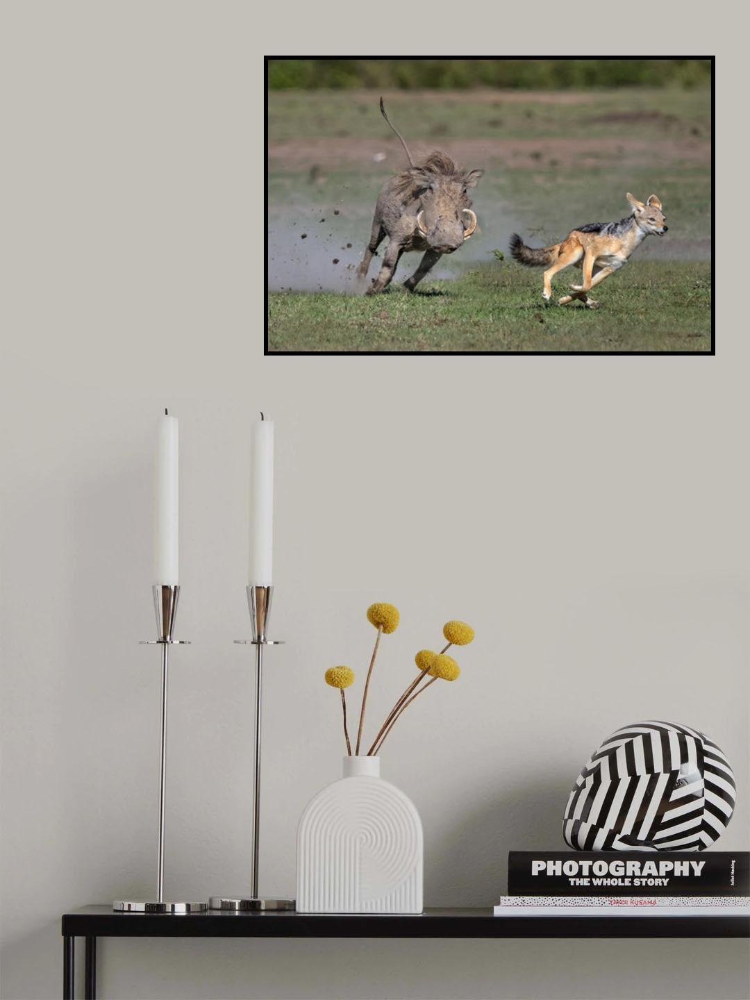 Warthog vs jackal Poster och Canvastavla