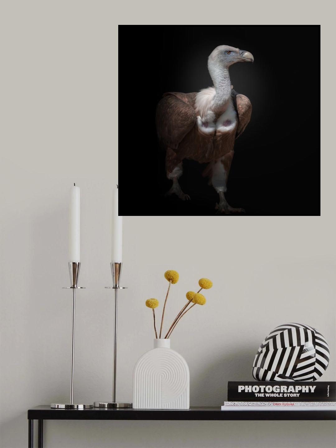 majestic Poster och Canvastavla