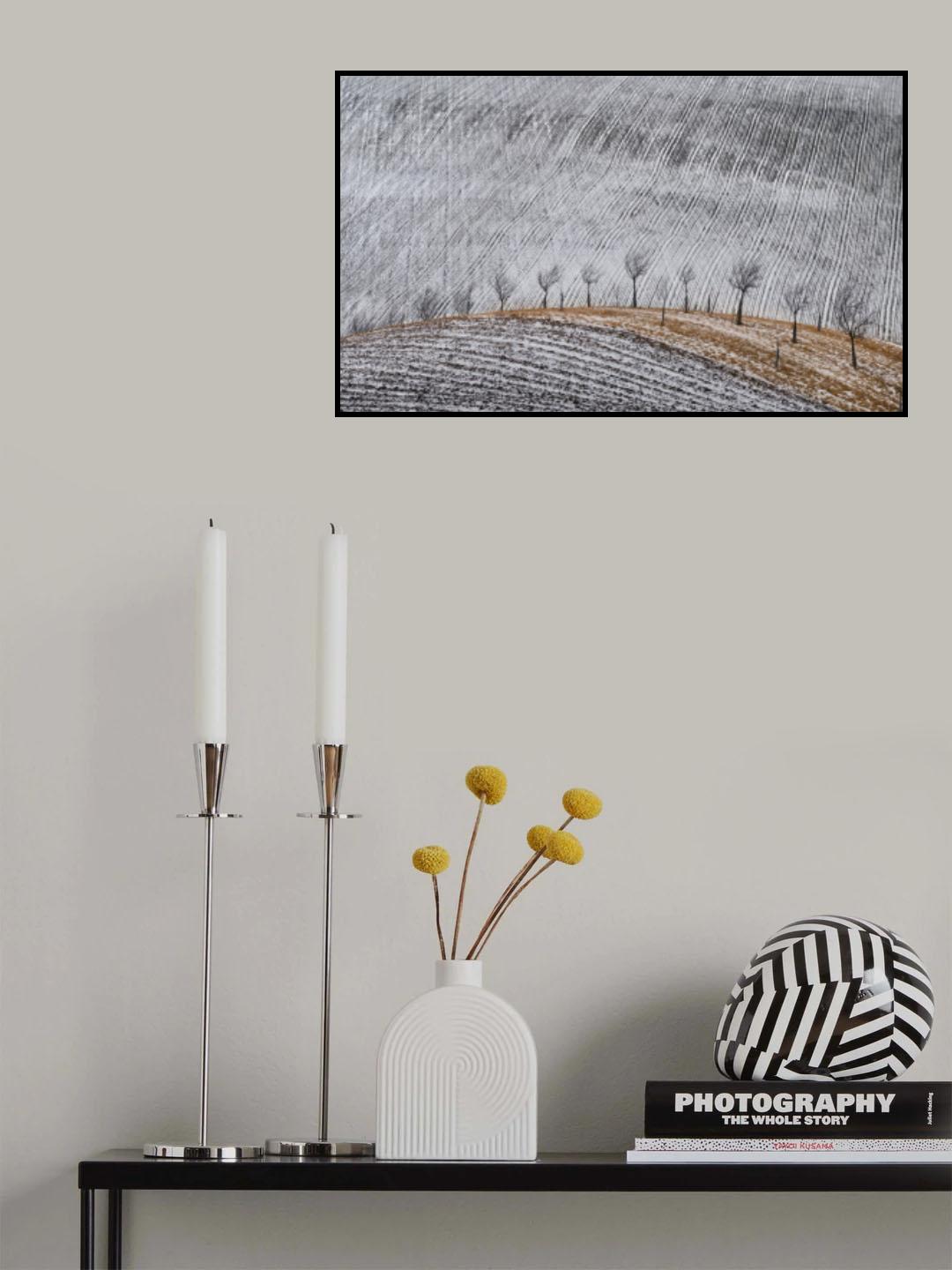 Brooms #1 Poster och Canvastavla