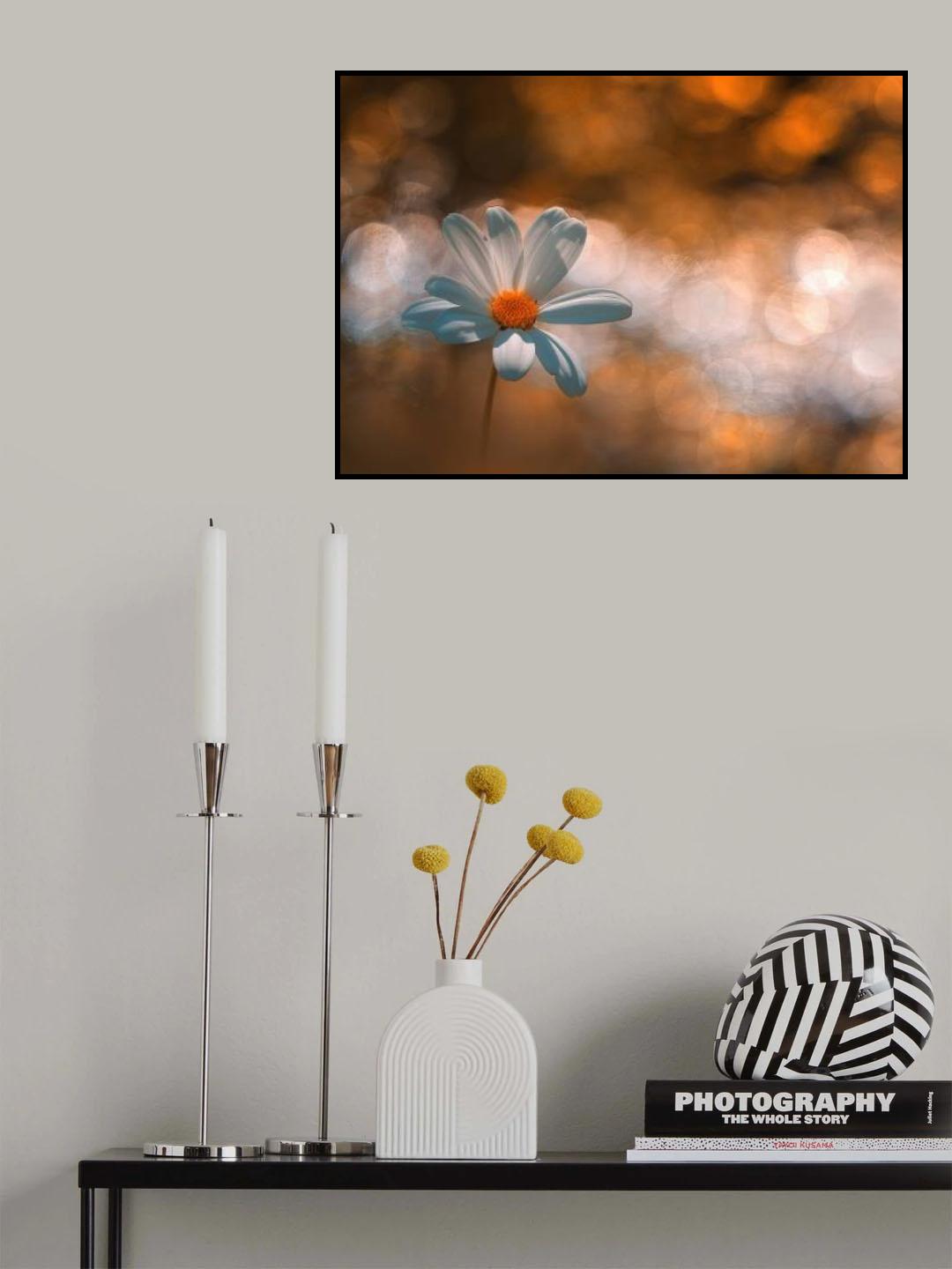 Ljus. Poster och Canvastavla