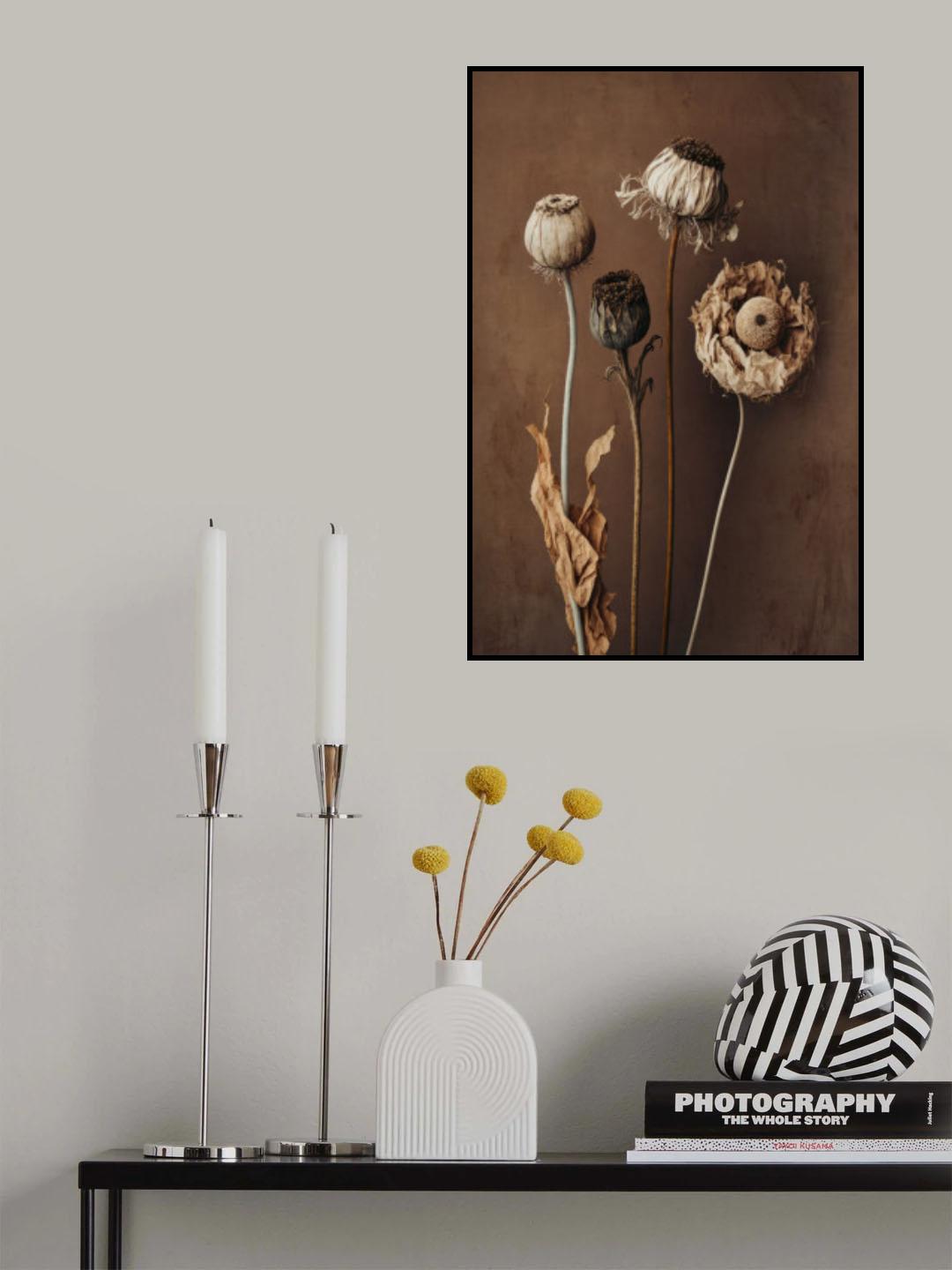 Three Dry Flowers Poster och Canvastavla