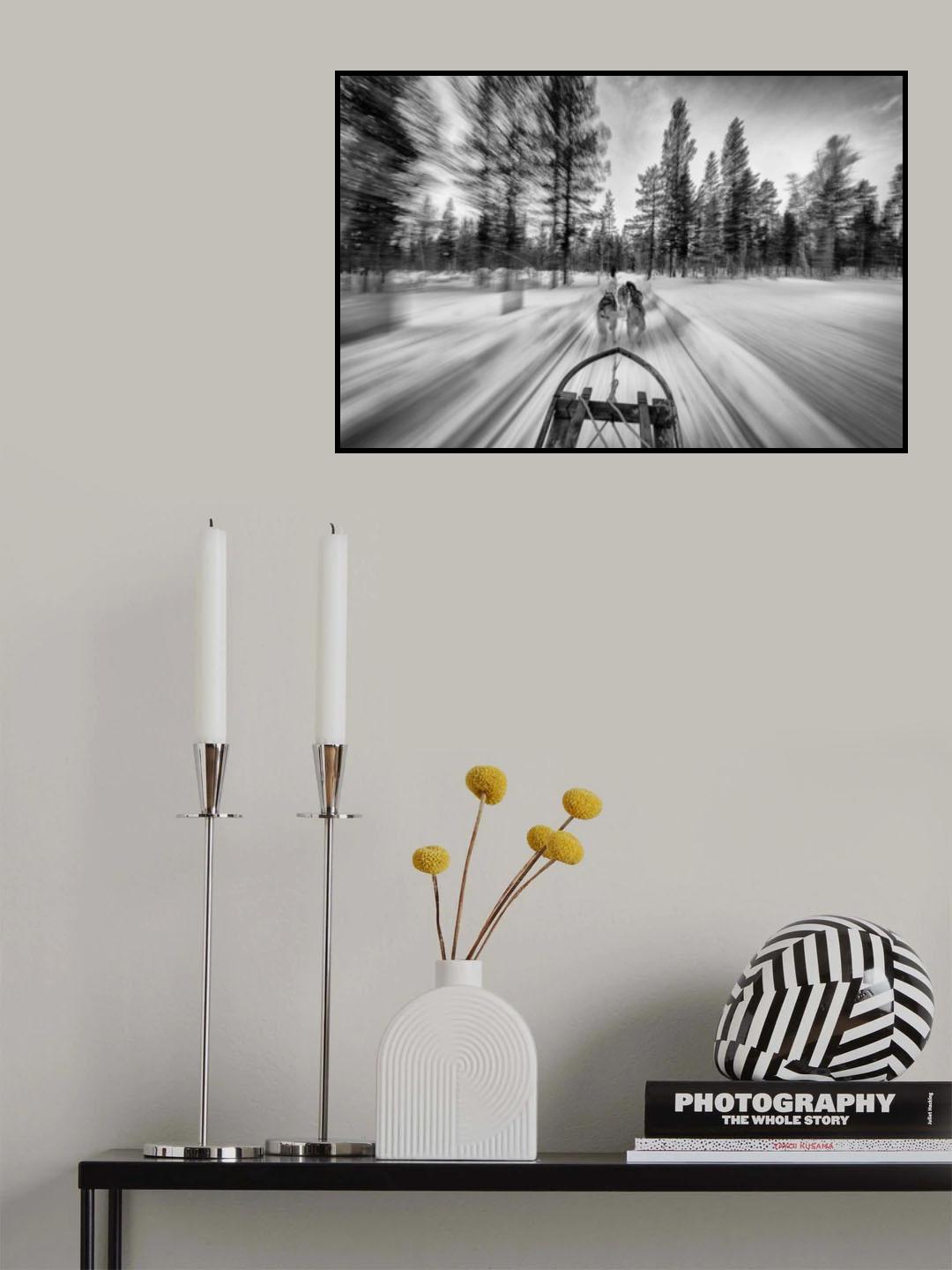 Dogsledding Poster och Canvastavla