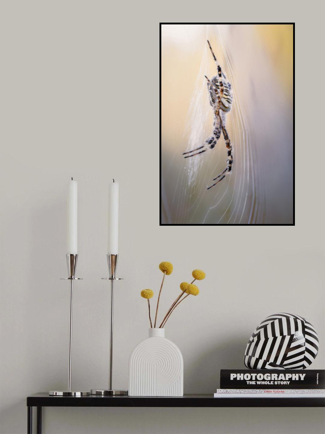 Wasp spider Poster och Canvastavla