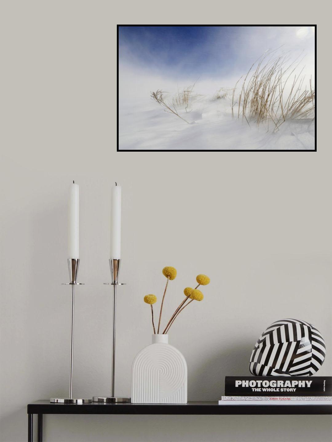 Sunny snowstorm Poster och Canvastavla