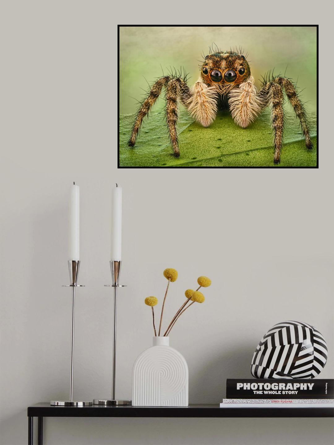 Portrait of a jumping spider Poster och Canvastavla