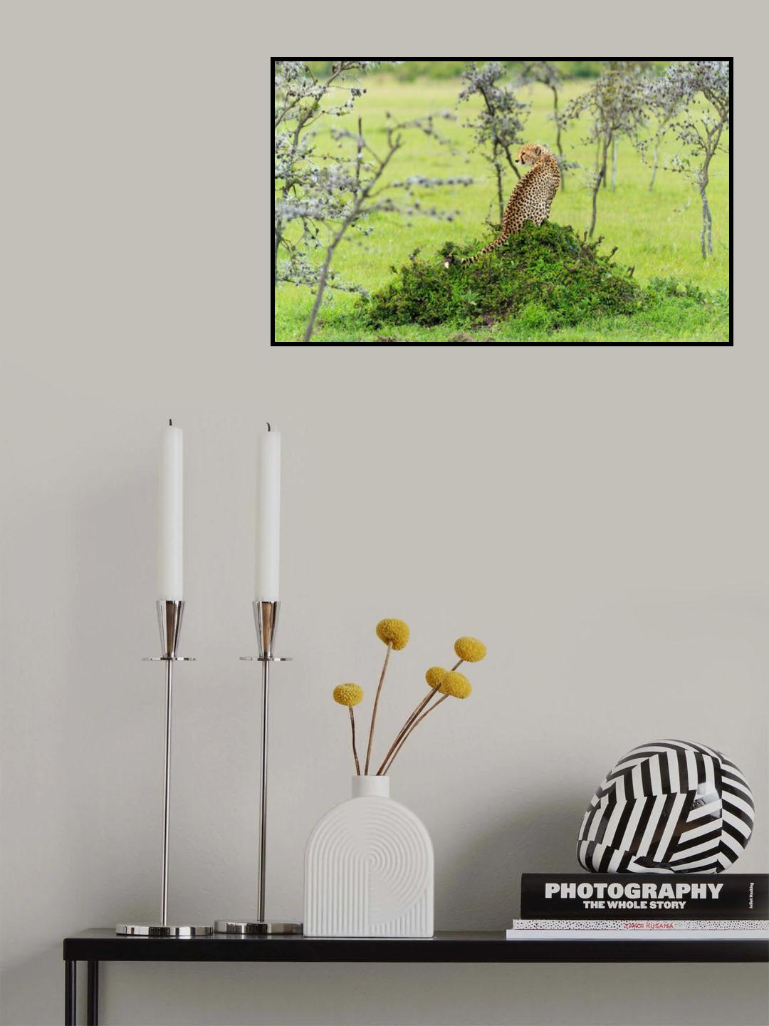 CHEETAH Poster och Canvastavla