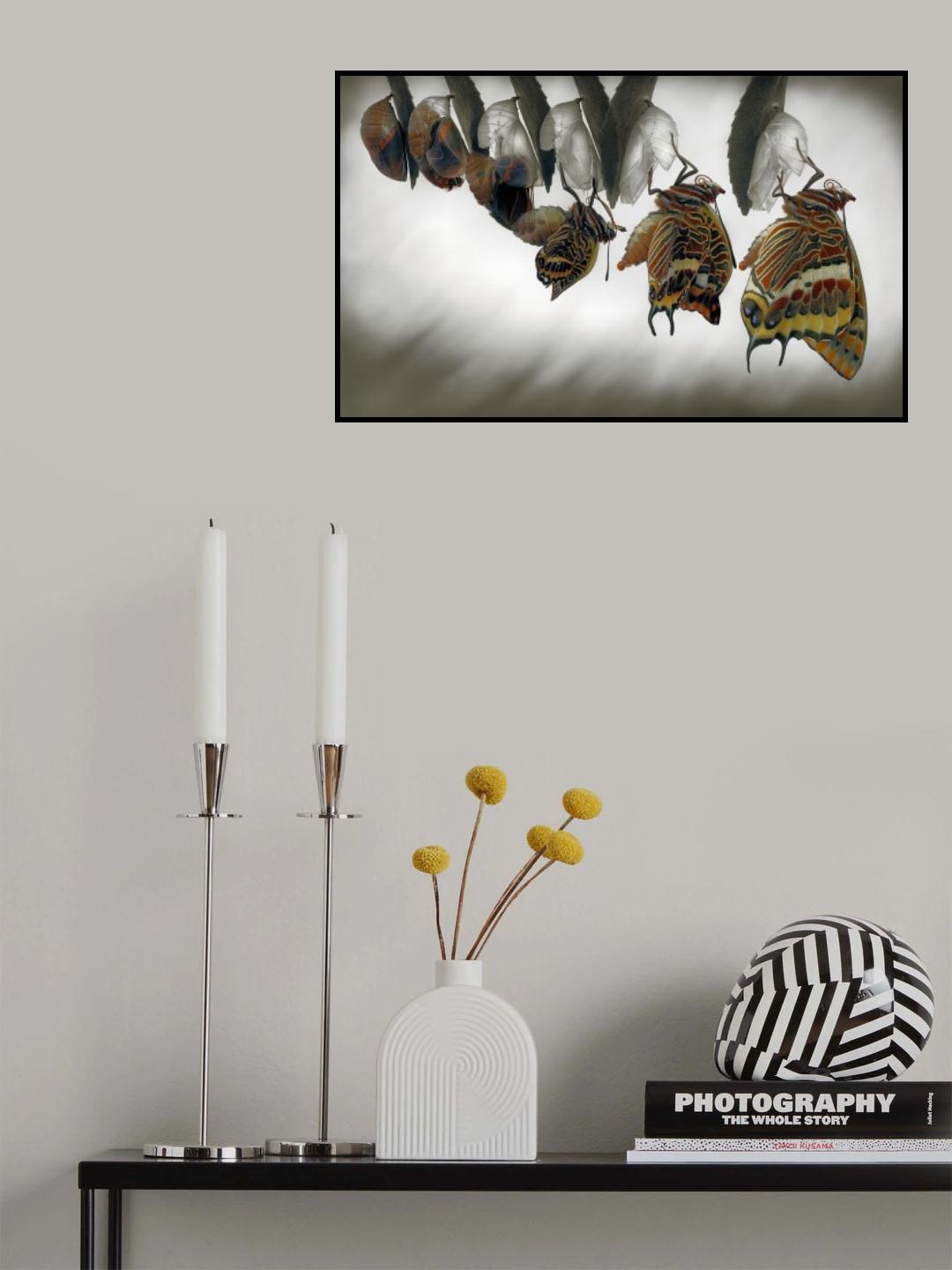 Emergence Poster och Canvastavla