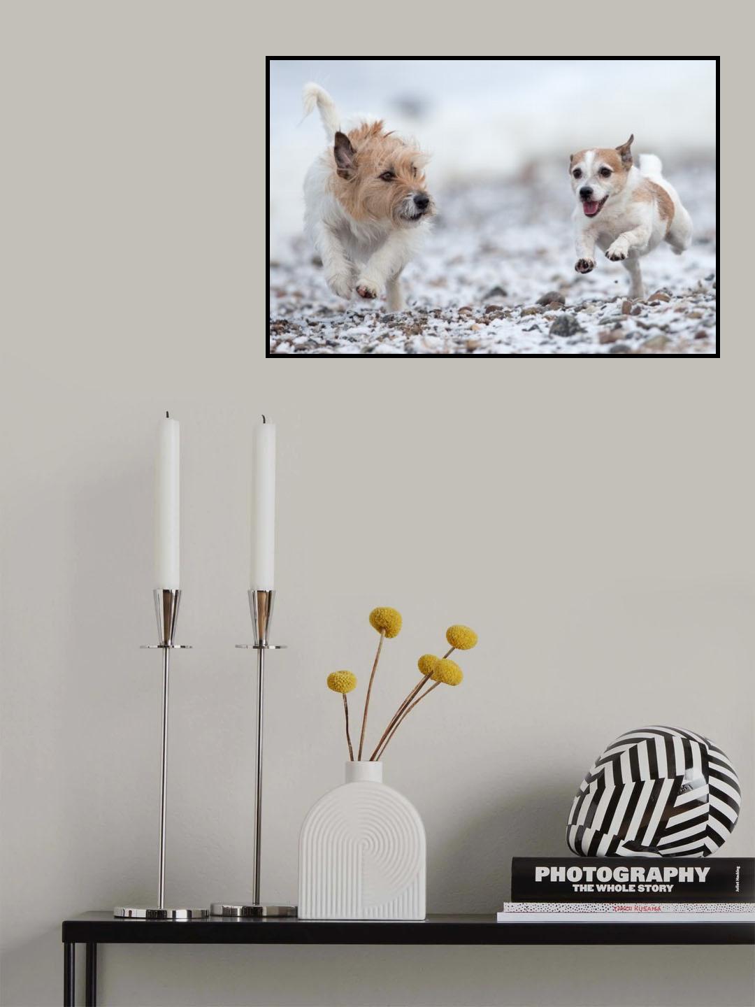 full speed on the beach Poster och Canvastavla
