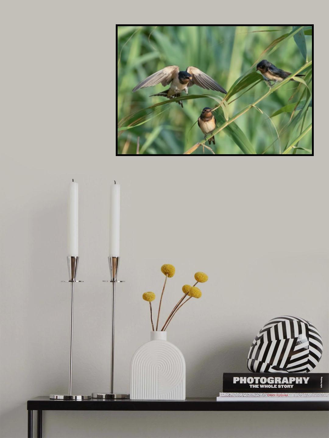 Triangle Poster och Canvastavla