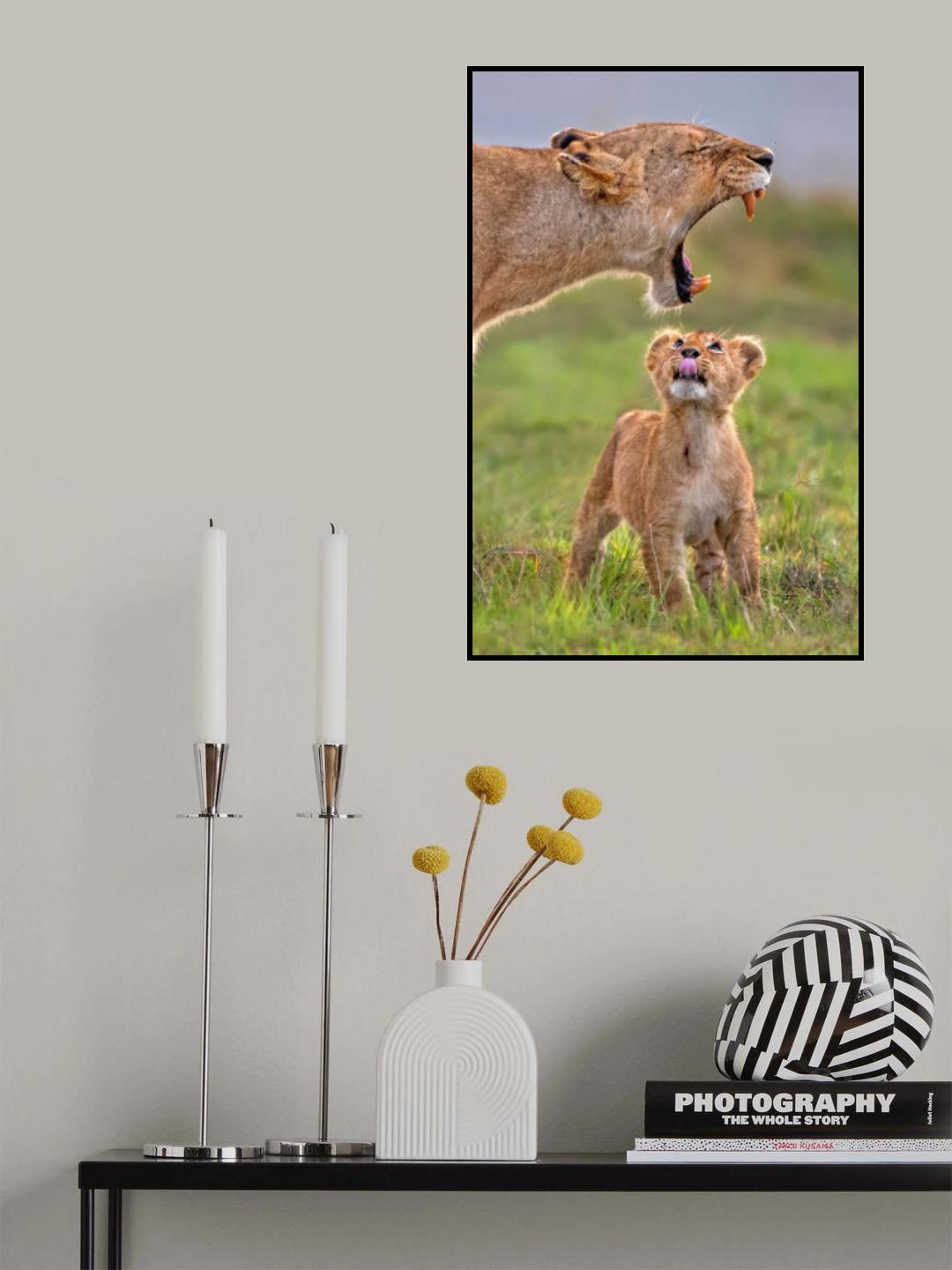 Fascinated for his mother Poster och Canvastavla