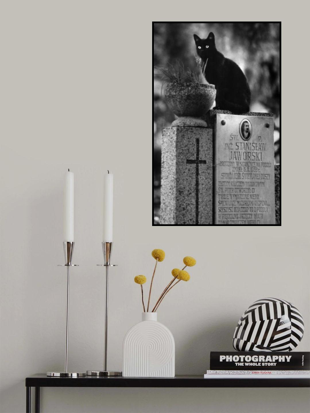 Incarnation - from "Kittysnaps Poster och Canvastavla