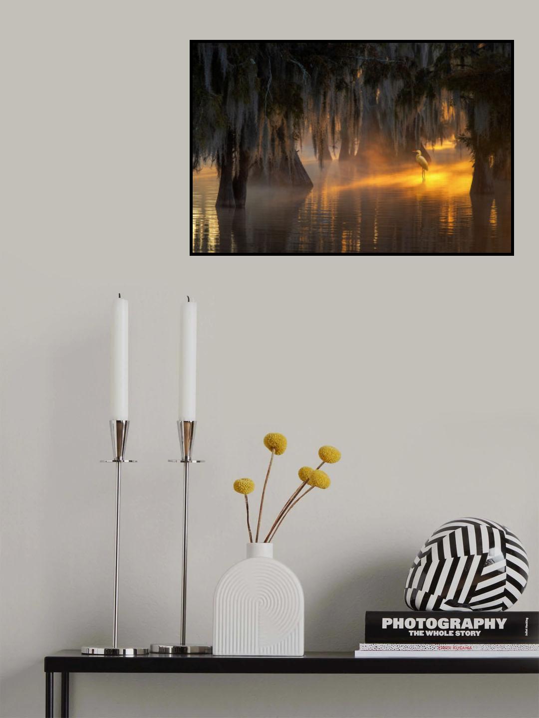 Under Spanish Moss Poster och Canvastavla