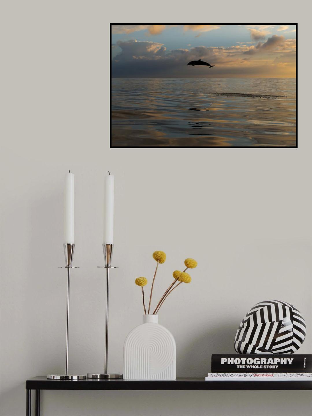 Jump Poster och Canvastavla