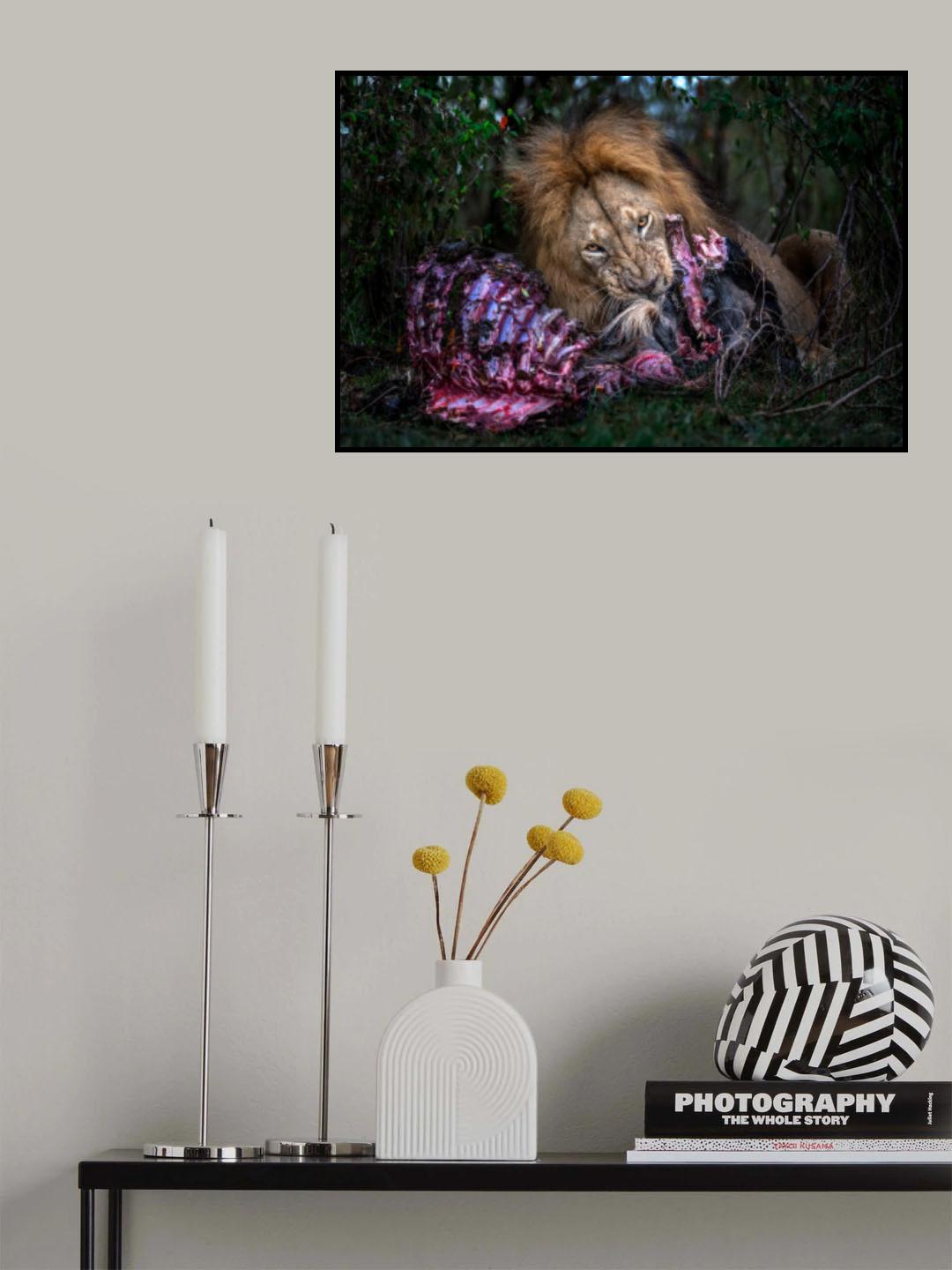Don´t disturb Poster och Canvastavla