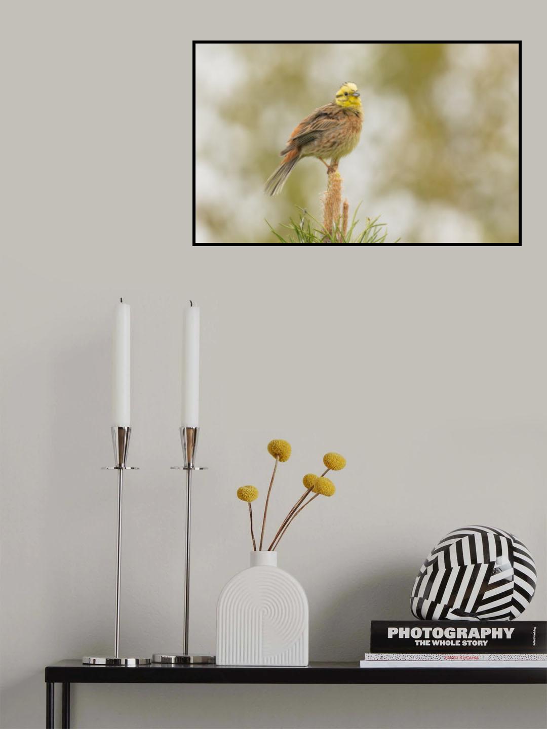 Poster och Canvastavla