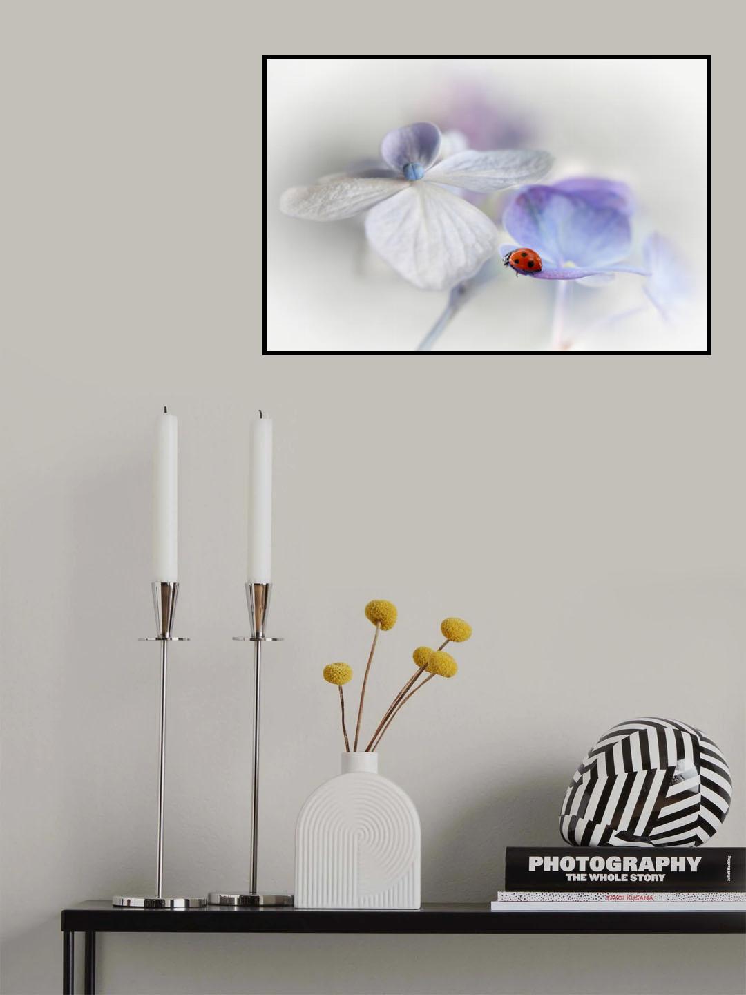 Beautiful Lady... Poster och Canvastavla