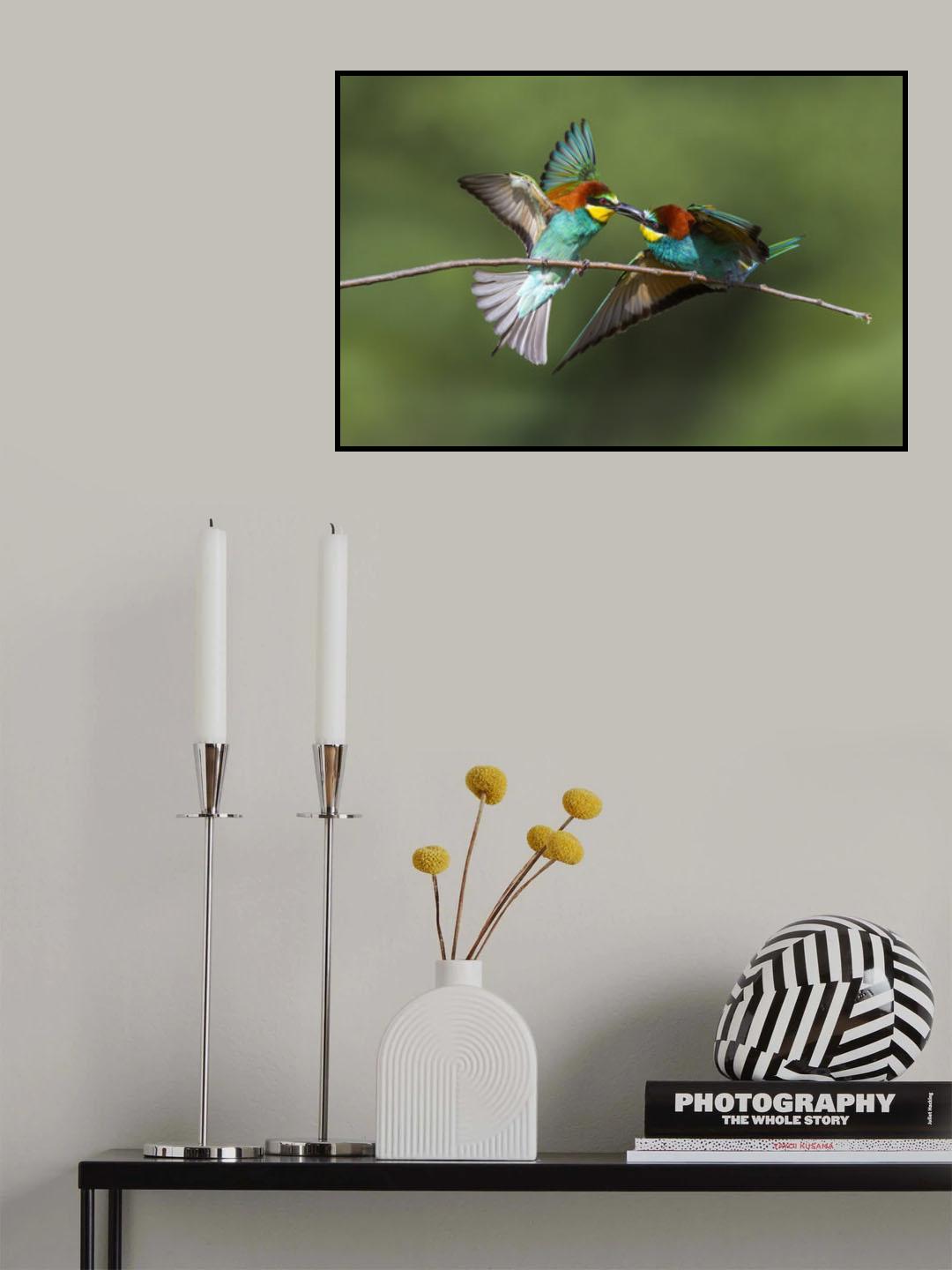 Battle on the twig Poster och Canvastavla