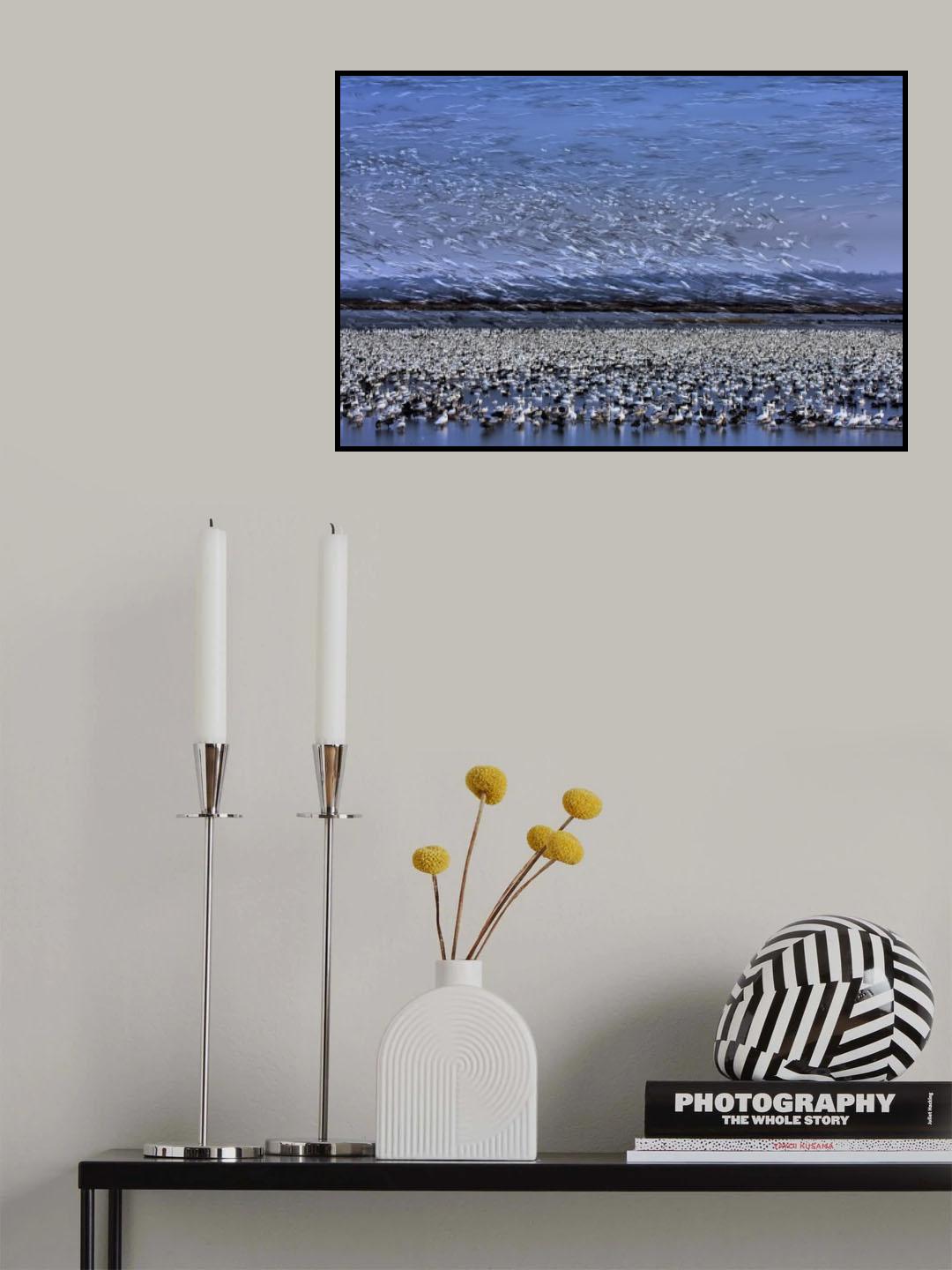 Before Dawn - A Day of Snow Goose Migration Poster och Canvastavla