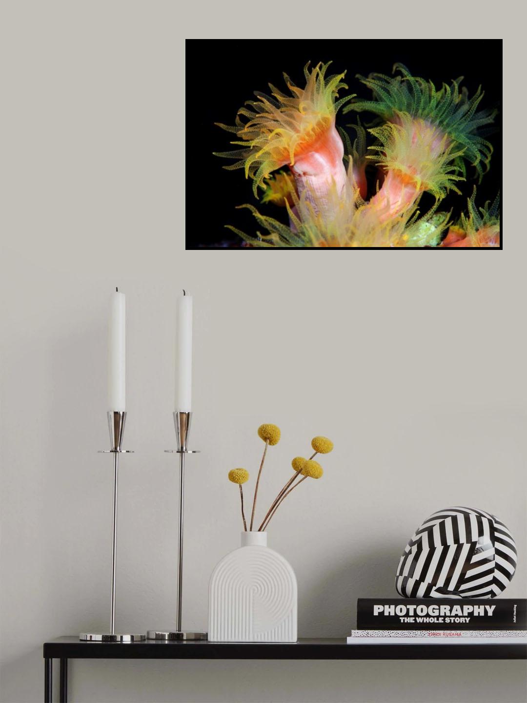 Wild flowers Poster och Canvastavla