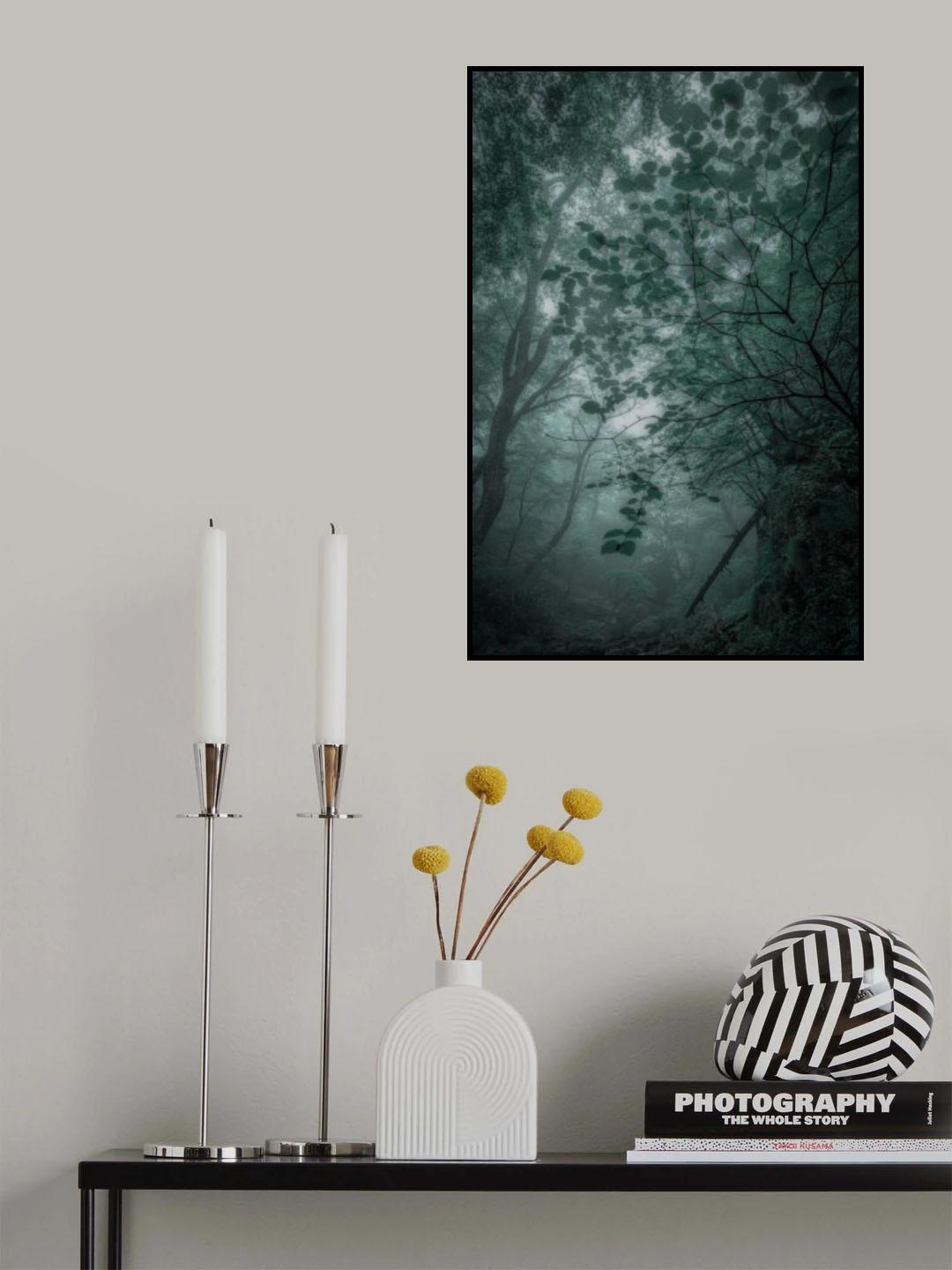 Fog forest Poster och Canvastavla
