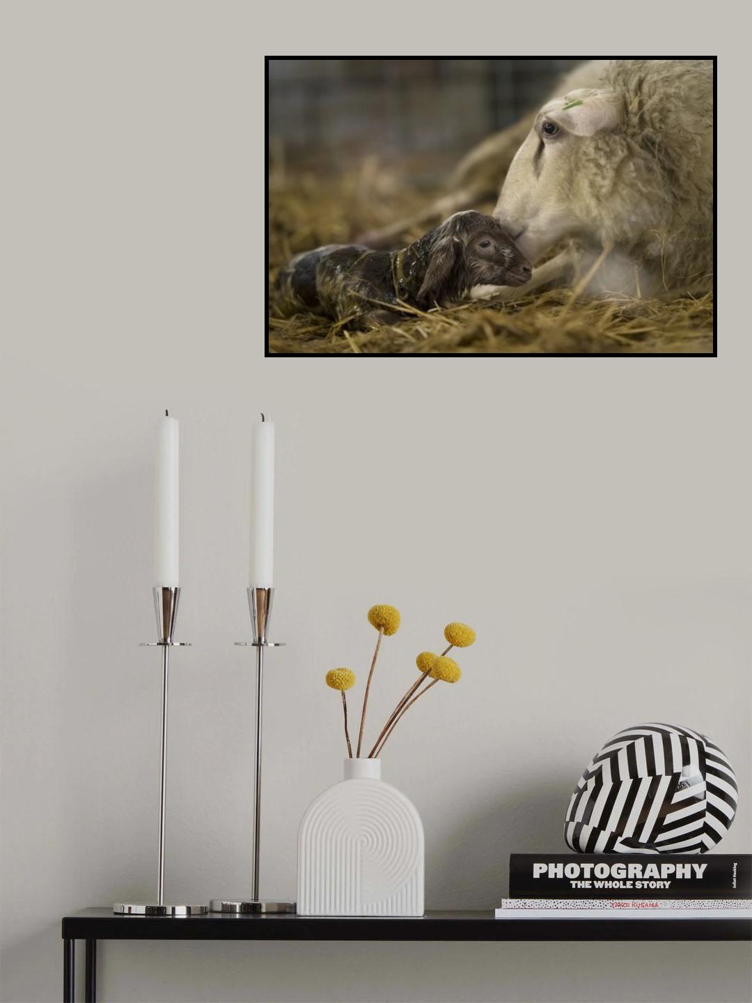 First kiss Poster och Canvastavla