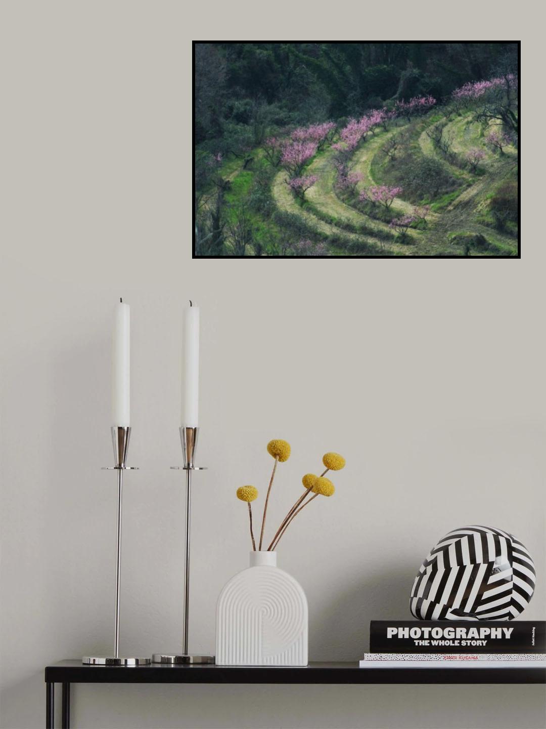 Rhapsody in pink Poster och Canvastavla