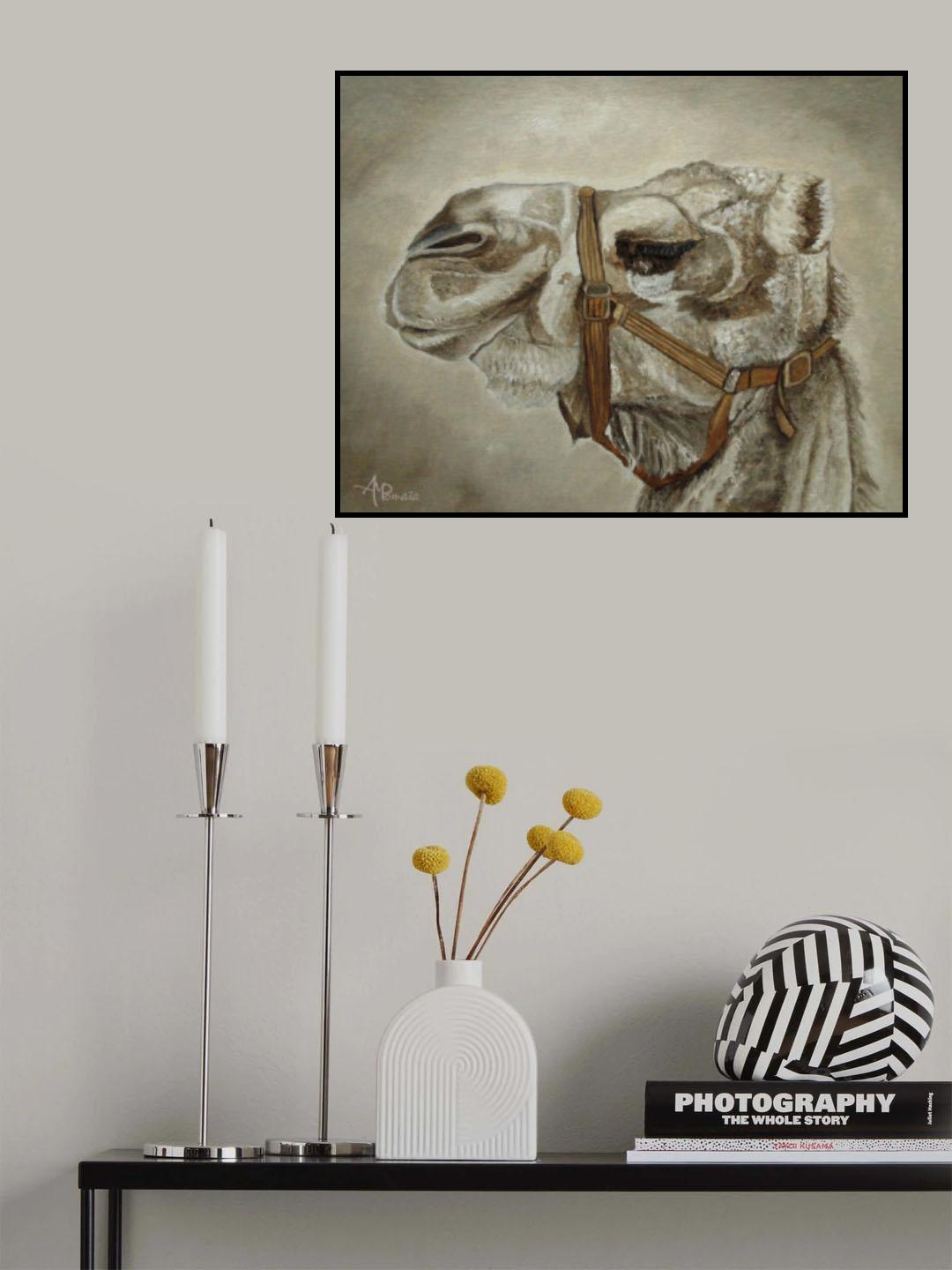 Camel Portrait Poster och Canvastavla