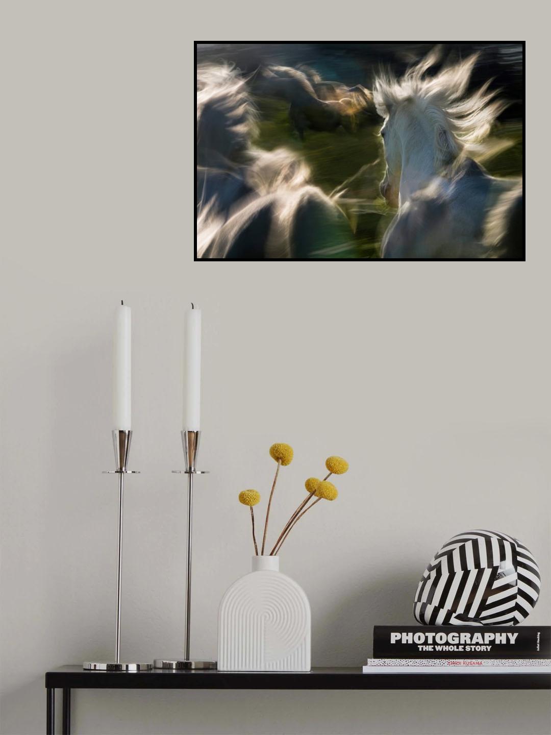saeta equina Poster och Canvastavla