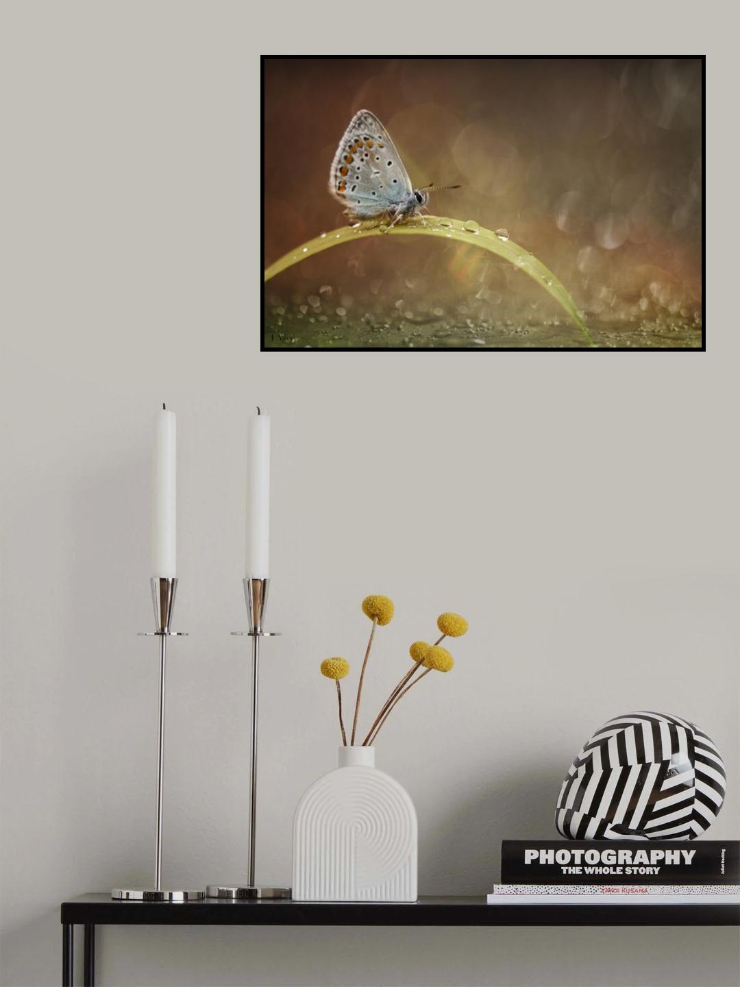 Poster och Canvastavla
