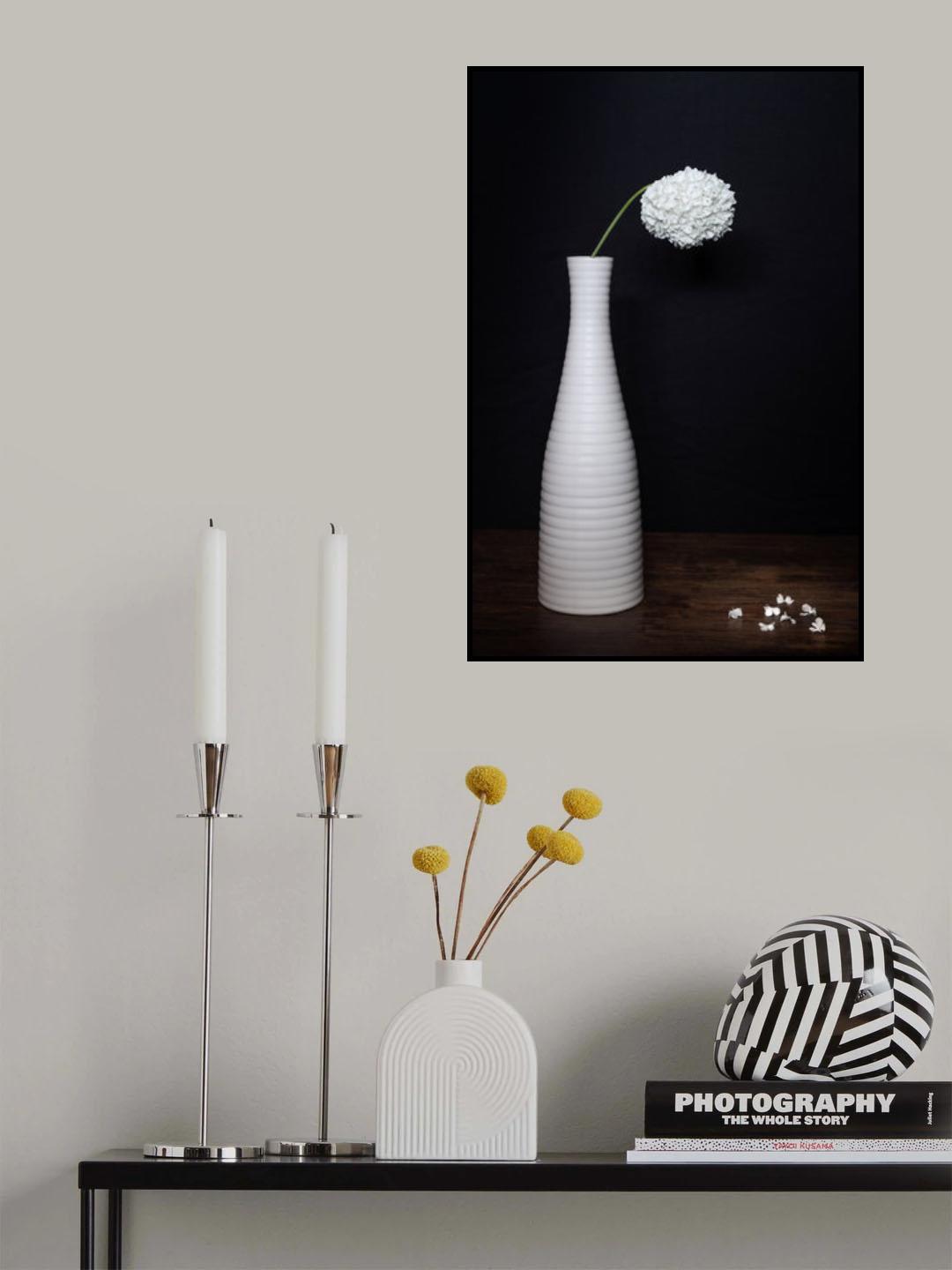 Snowball Poster och Canvastavla