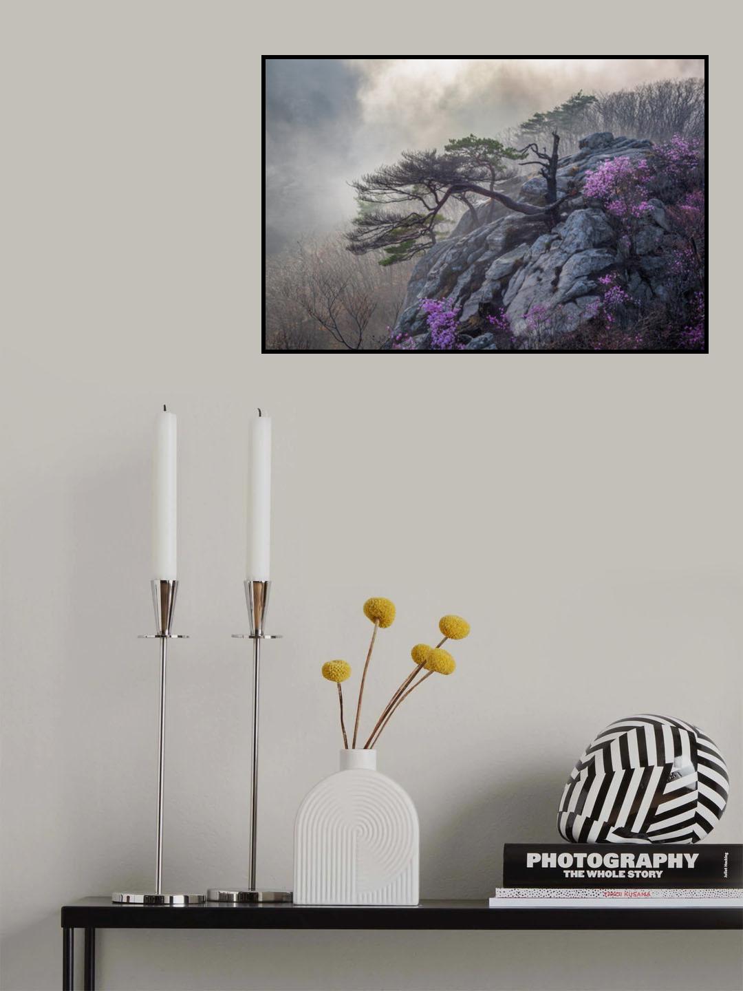 Life and death Poster och Canvastavla