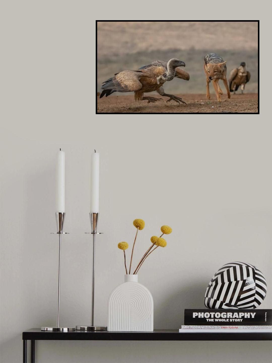 The Jackal and the Vulture Poster och Canvastavla