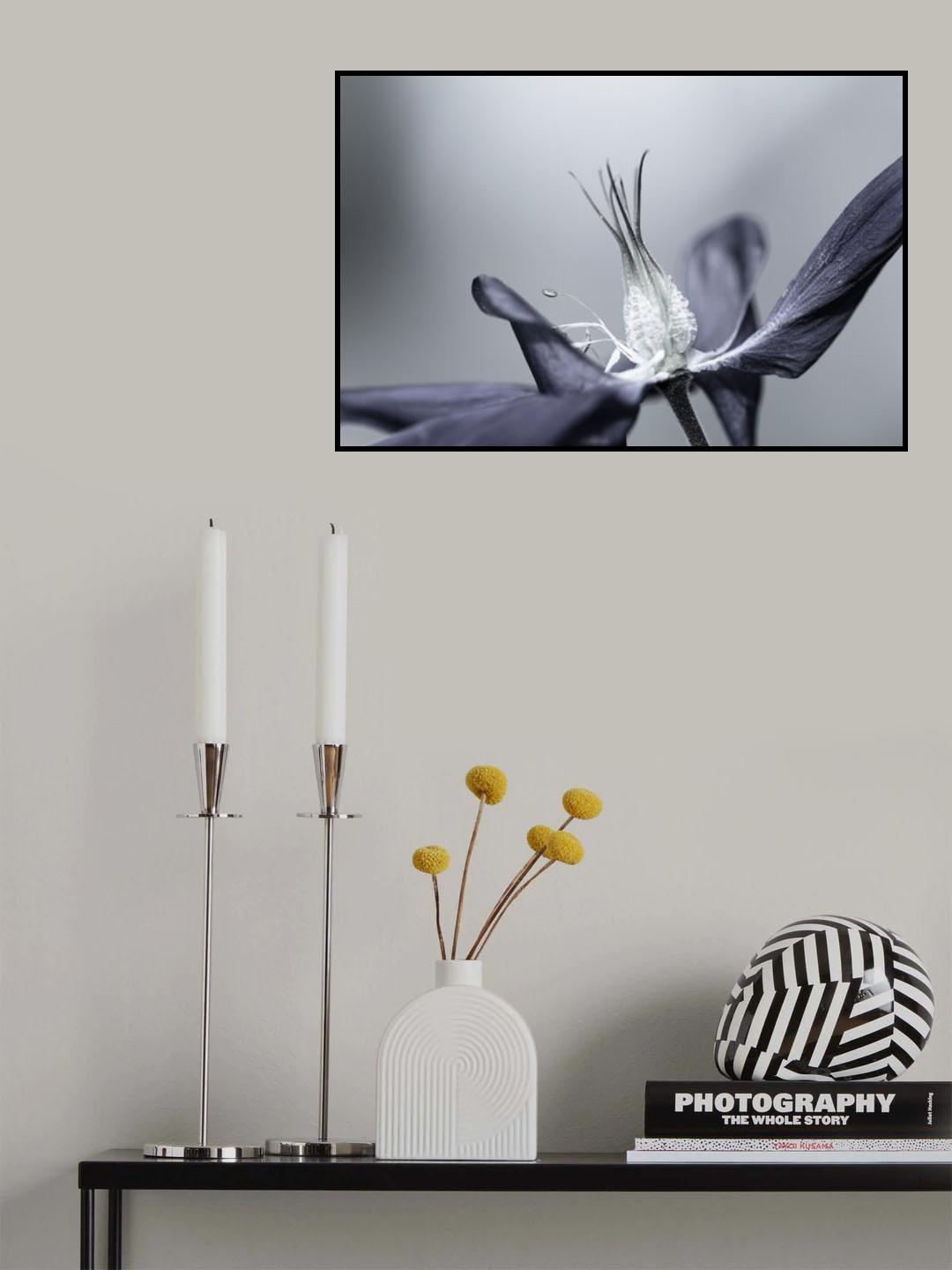 Fiore Estate Poster och Canvastavla