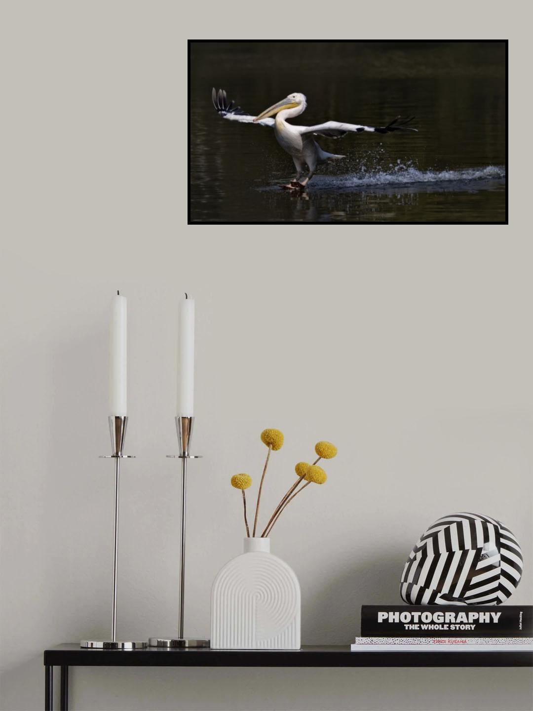 In balance Poster och Canvastavla