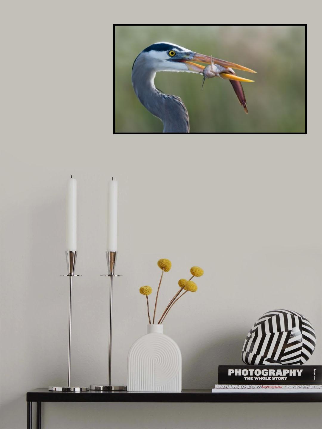 Fresh Catch Poster och Canvastavla