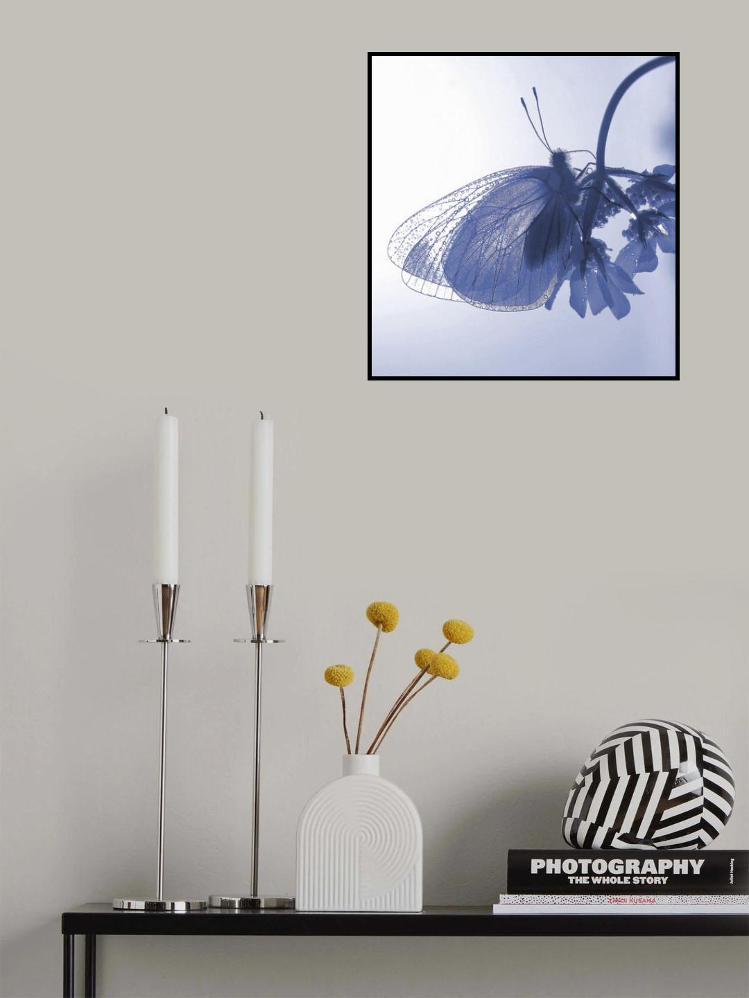 Light and shade... Poster och Canvastavla