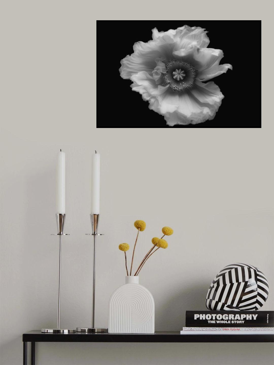 Poppy in mono Poster och Canvastavla
