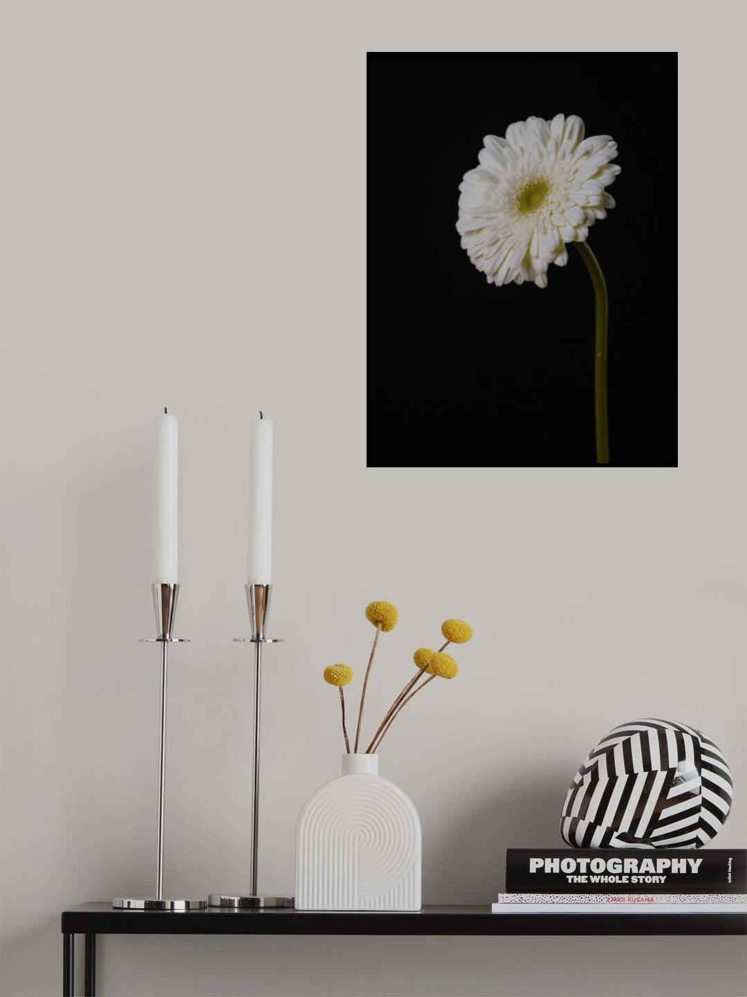 Beautiful flower Poster och Canvastavla