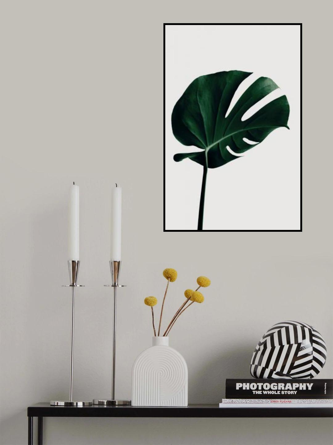 Monstera Natural 02 Poster och Canvastavla