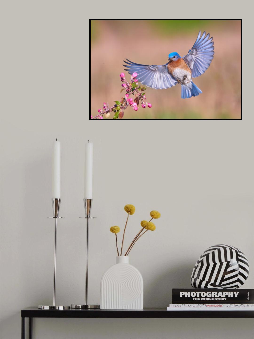 Colorful Spring Poster och Canvastavla