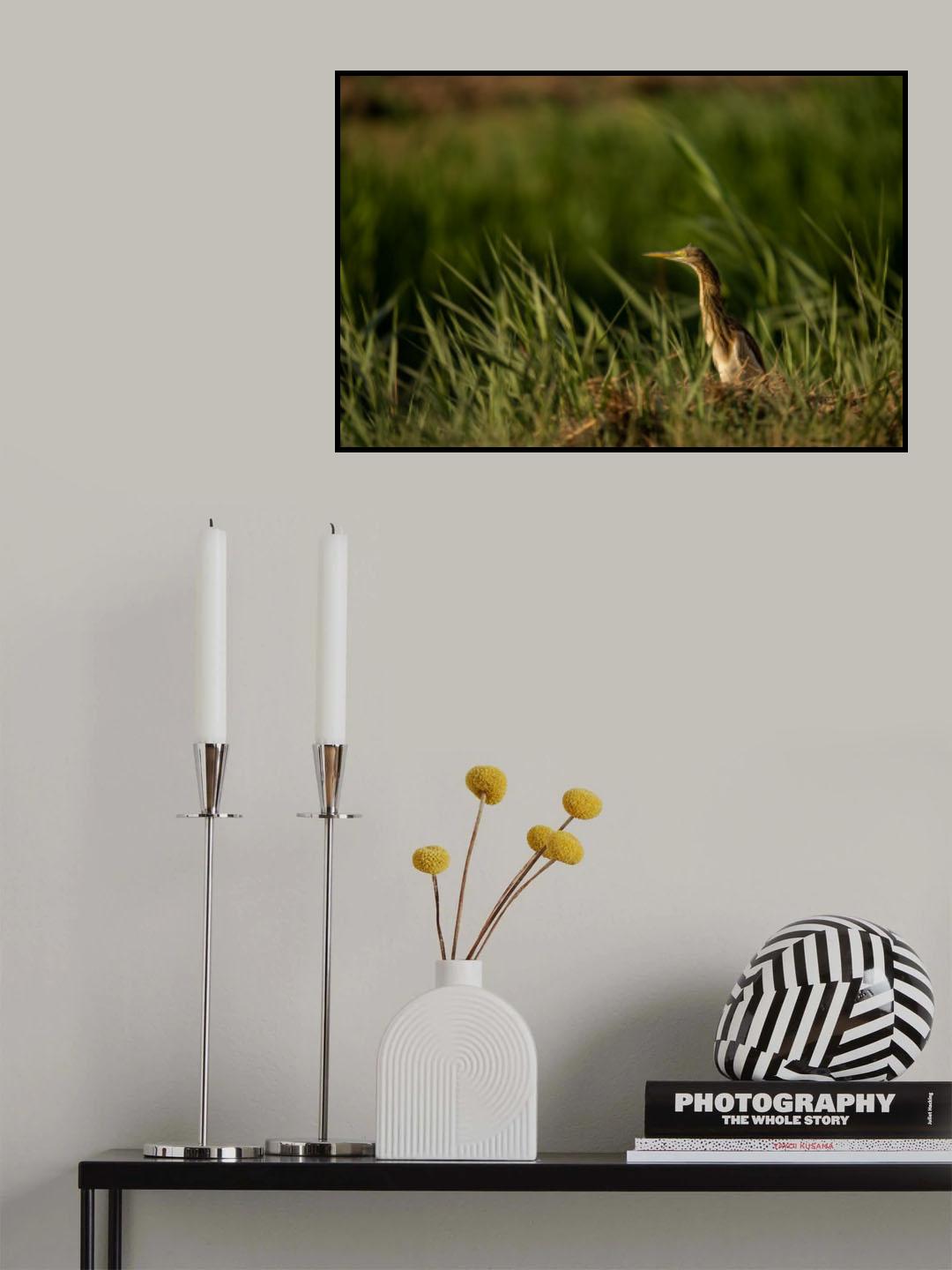 Poster och Canvastavla