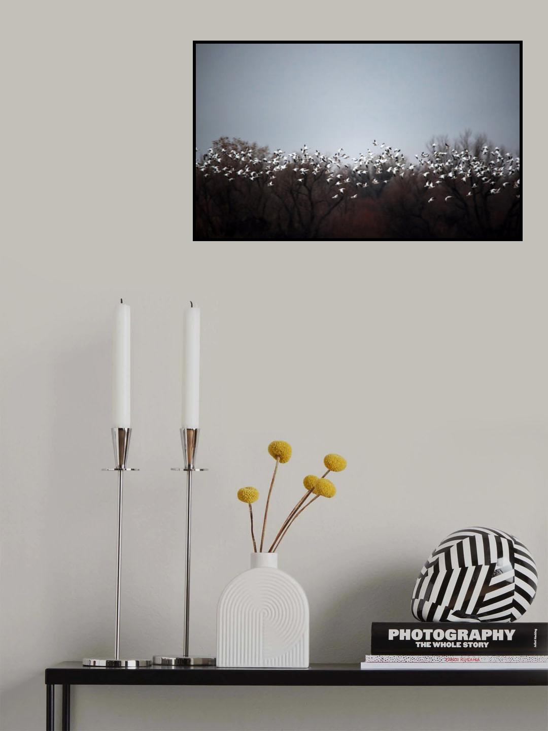 White leaves Poster och Canvastavla