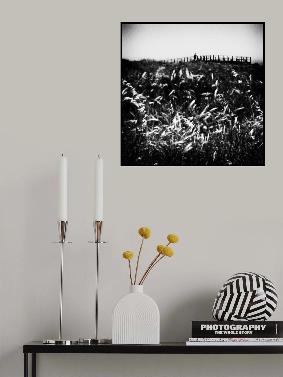 Poster och Canvastavla