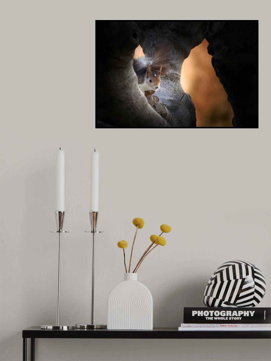 Squirrel Poster och Canvastavla