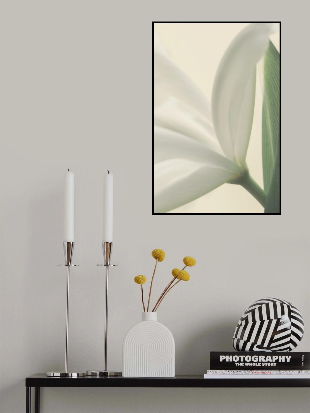White Iris Flower Poster och Canvastavla