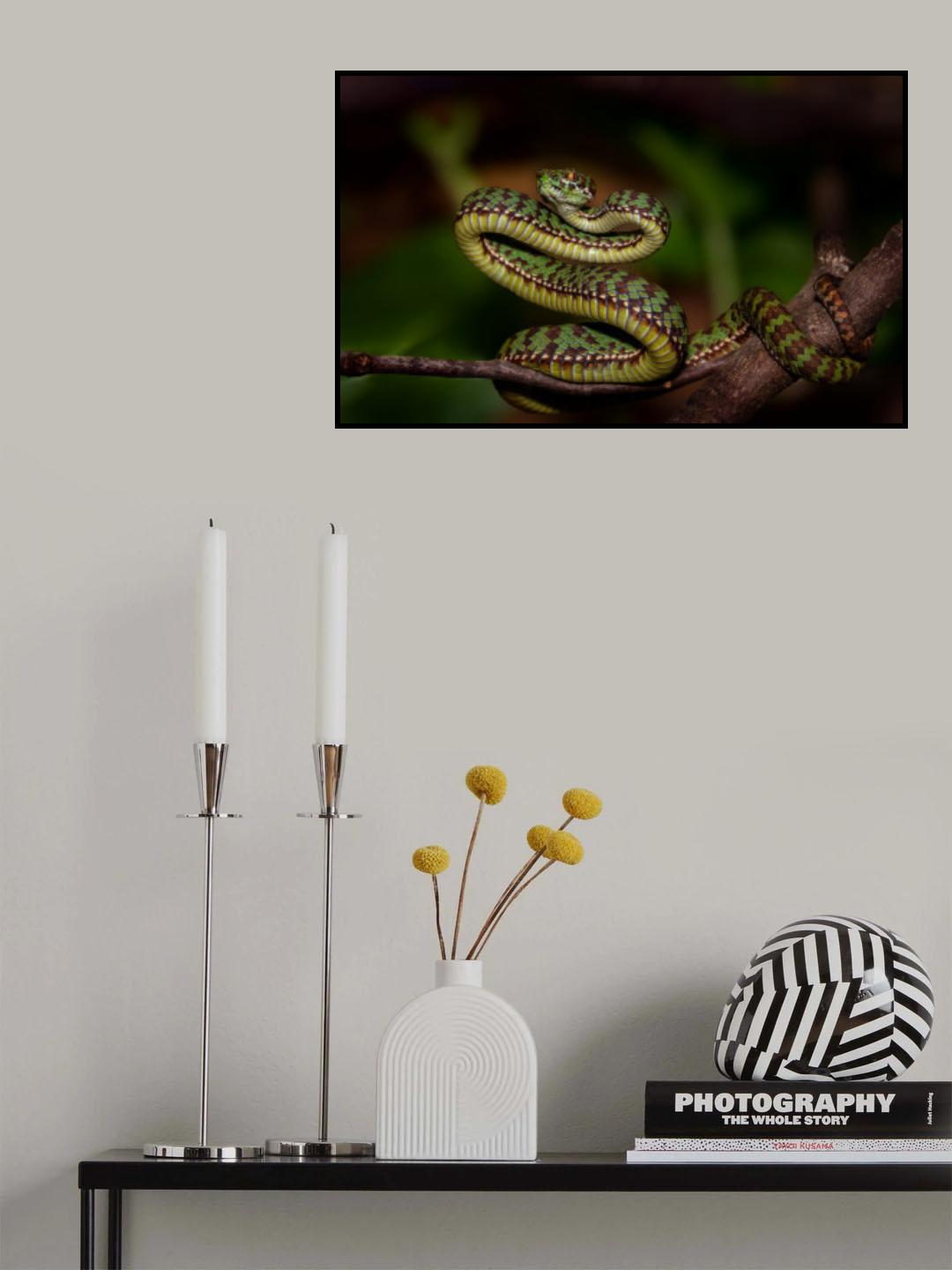 Snake Poster och Canvastavla