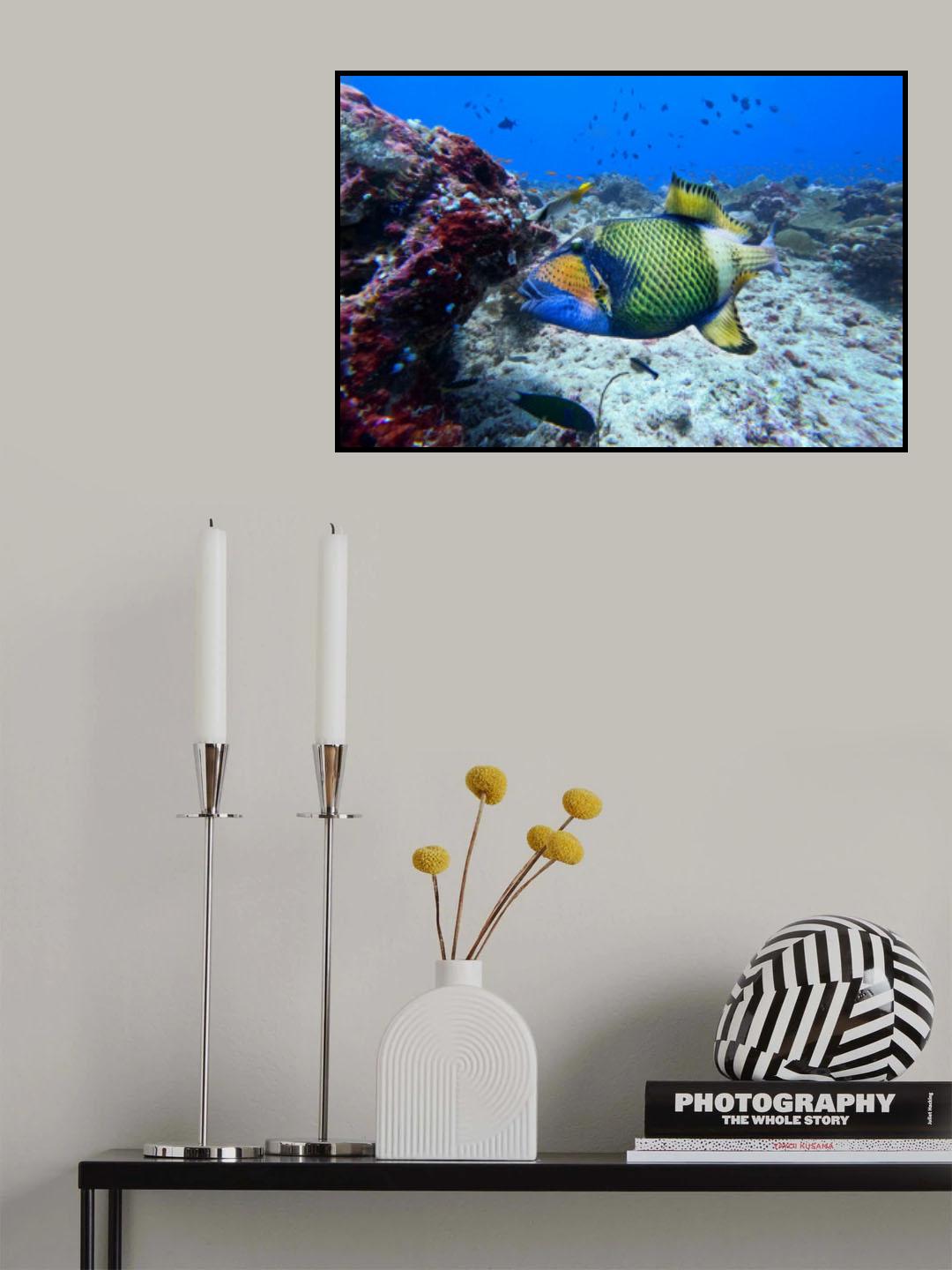 Rainbow fish Poster och Canvastavla